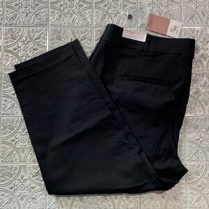 Black Skinny Ankle Pants Lane Bryant The Allie Curve-Hugging  20P  NWT